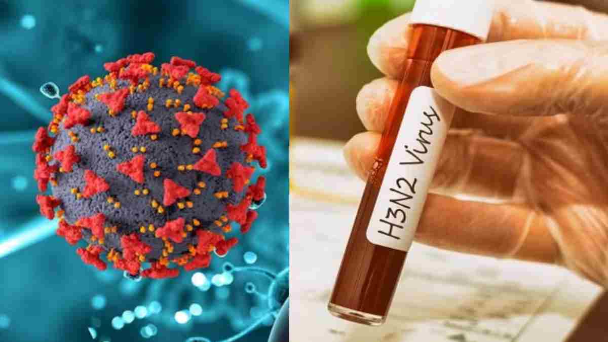 Maharashtra H3N2 Virus Maharashtra H3N2 Virus