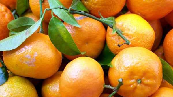 How can I clean my skin after Holi