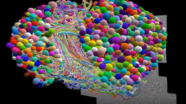 साइंटिस्ट्स ने क्या कहा?