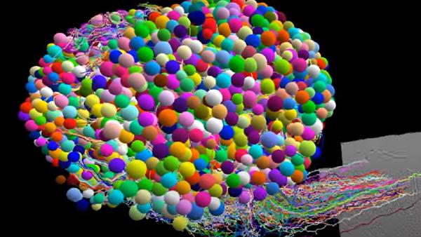 जॉन्स हॉपकिन्स और कैंब्रिज में शोध