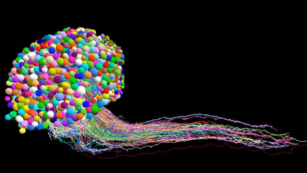 न्यूरॉन्स का अरेंजमेंट