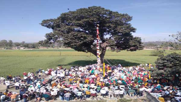 अराईयांवाला, हरियाणा झण्डे जी का आरोहण किया गया