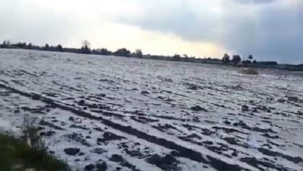 MP Weather Update