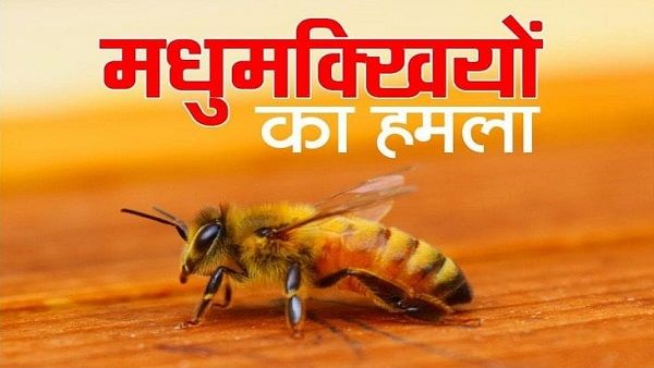 चिता में आग लगाते ही भड़क गई श्मशान की मधुमक्खियां