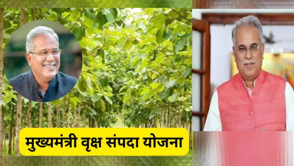 mukhyamantri sampada yojna cg mukhyamantri sampada yojna cg