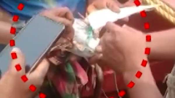 जांच होने तक सुरक्षा में रहेगा कबूतर