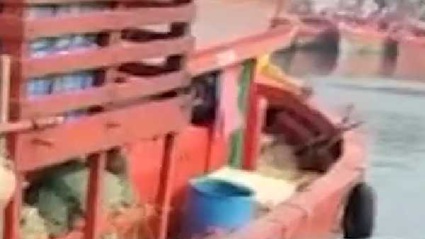 कबूतर से माइक्रोचिप जुड़े होने का भी संदेह