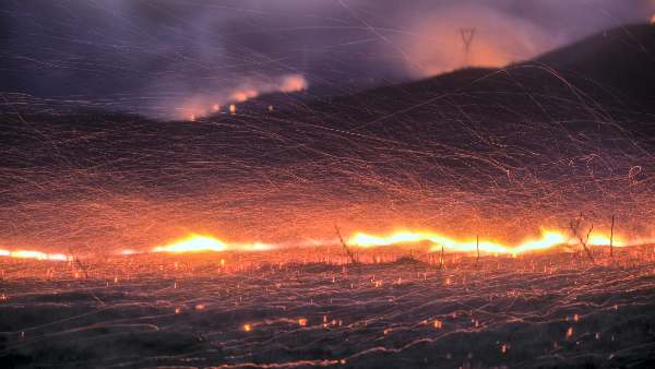 wildfires-work-done-in-36-years-is-getting-destroyed-scientists-again-warned-about-ozone-layer