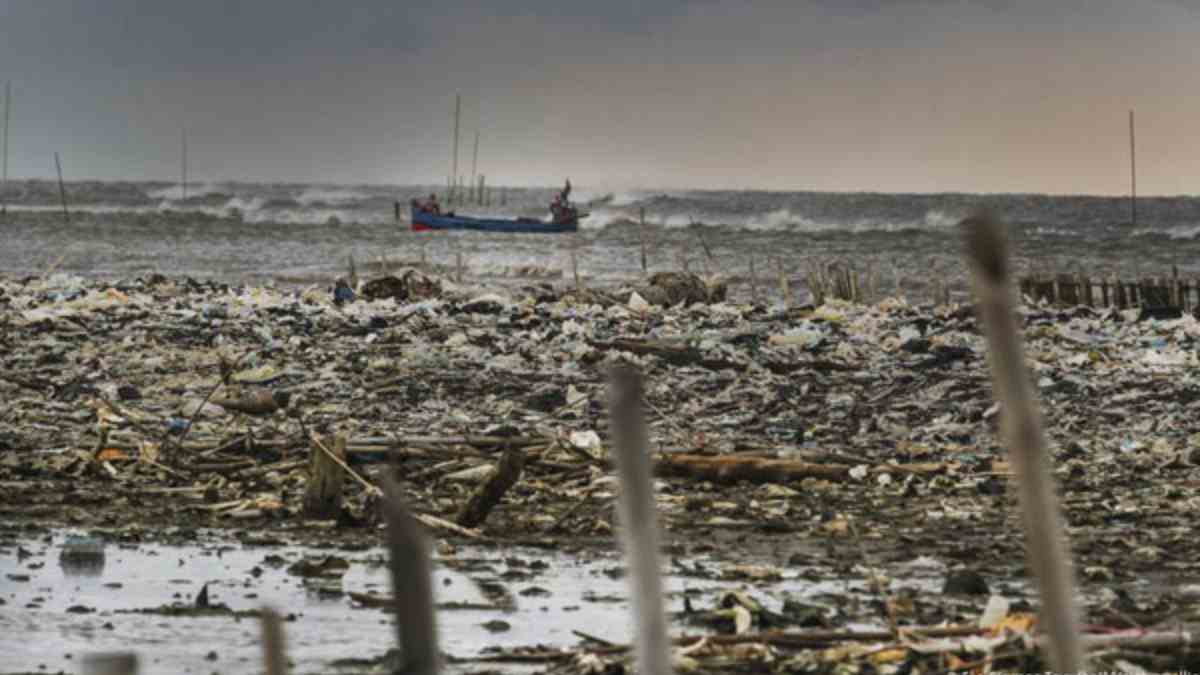 Plastic waste in seas reason for the death of crores of aquatic animals Plastic waste in seas reason for the death of crores of aquatic animals