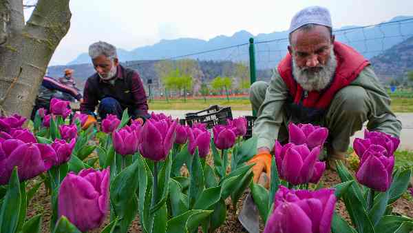kashmir-valley-is-changing-know-about-the-amusement-park-which-is-to-be-built-in-srinagar