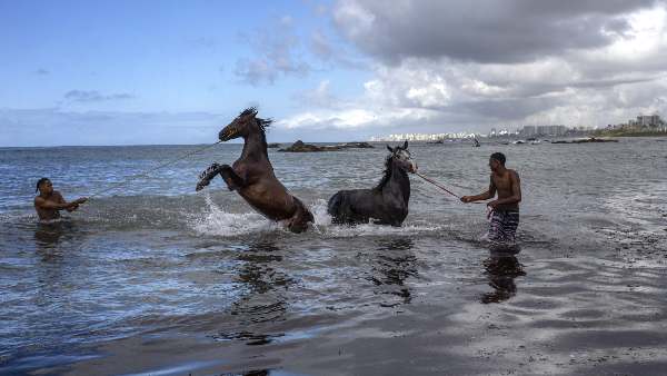 marine-heat-waves-the-temperature-of-the-ocean-floor-is-also-increasing-what-will-be-the-result