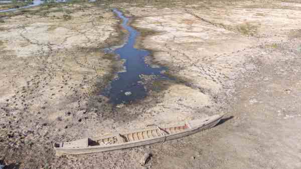 what-are-salt-marshes-possibility-of-extinction-of-90pc-due-to-rise-in-sea-level-know-side-effects what-are-salt-marshes-possibility-of-extinction-of-90pc-due-to-rise-in-sea-level-know-side-effects