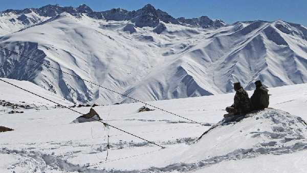 सीमा पर सैनिकों के सबसे अच्छे दोस्त होते हैं आवारा कुत्ते
