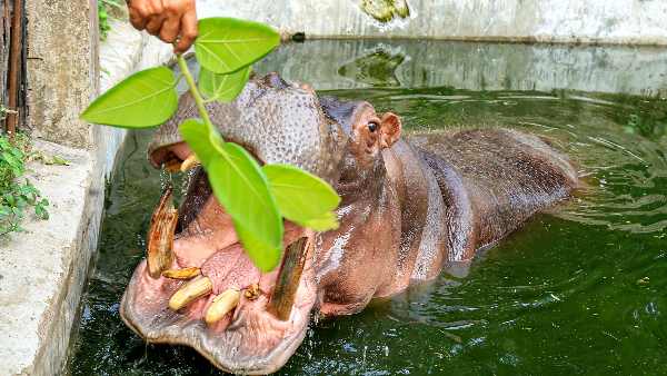 कोलंबिया में तेजी से बढ़ रही है जनसंख्या कोलंबिया में तेजी से बढ़ रही है जनसंख्या