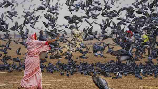 महाराष्ट्र के कुछ शहरों में हाइपरसेंजिटिव निमोनिया के मामले बढ़े