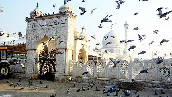 दुनिया में इसको लेकर हुए वैज्ञानिक रिसर्च में क्या पता चला है ?