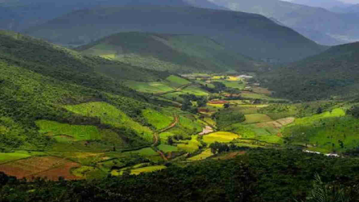 odisha odisha