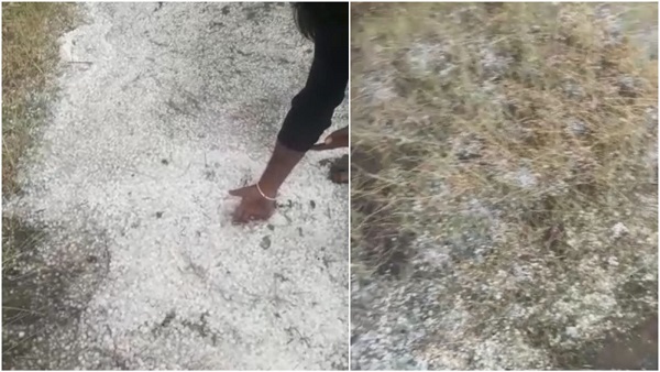 एमपी वेदर अपडेट: बेमौसम बारिश के साथ ओलों की मार से किसान बेहाल एमपी वेदर अपडेट: बेमौसम बारिश के साथ ओलों की मार से किसान बेहाल