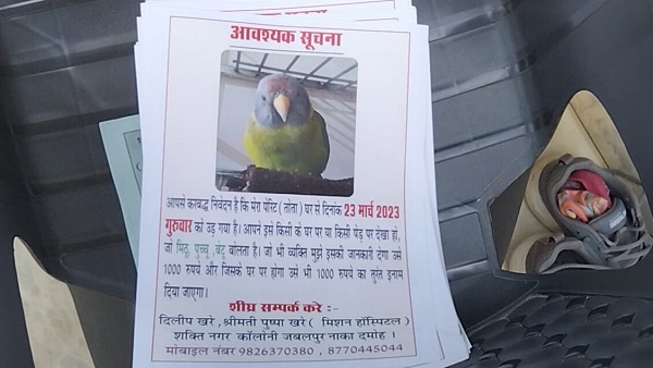 ‘तोते’ में फंसी जान, पागलों की तरह ढूढ़ रहा परिवार, ईनाम रखा ‘तोते’ में फंसी जान, पागलों की तरह ढूढ़ रहा परिवार, ईनाम रखा