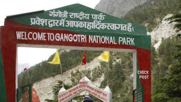  Gangotri National Park uttarkashi tourist