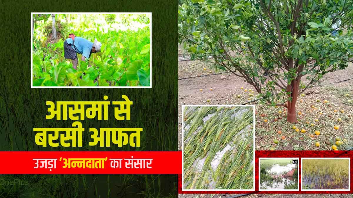 Farmers Crop Loss