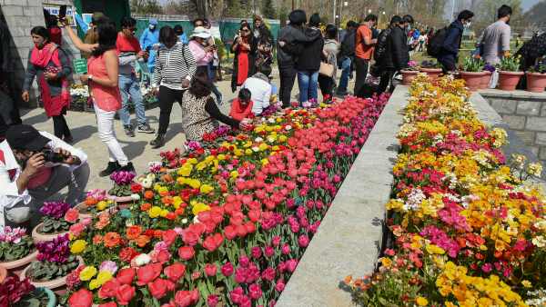 स्वर्ग का एहसास कराने वाले फूल