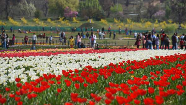 उद्यान एक महीने तक खुला रखने का प्रयास