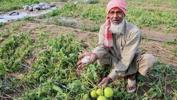Farmers Crop Loss