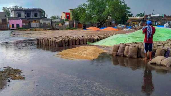 Farmers Crop Loss
