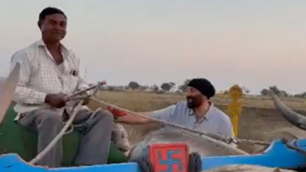 'दिल बड़ा है भईया का'