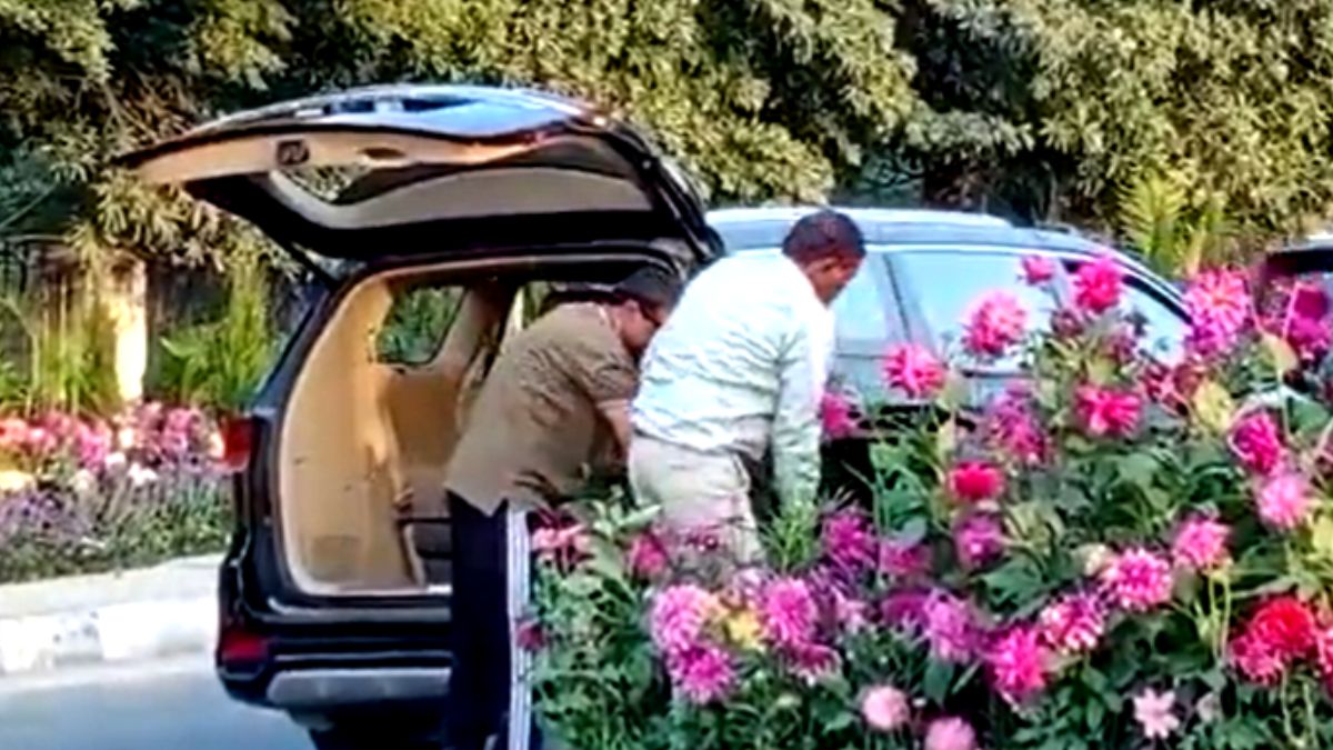 क्या है गमला चोरी का मामला?