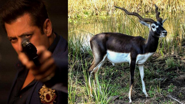 काला हिरण शिकार केस क्या है? काला हिरण शिकार केस क्या है?