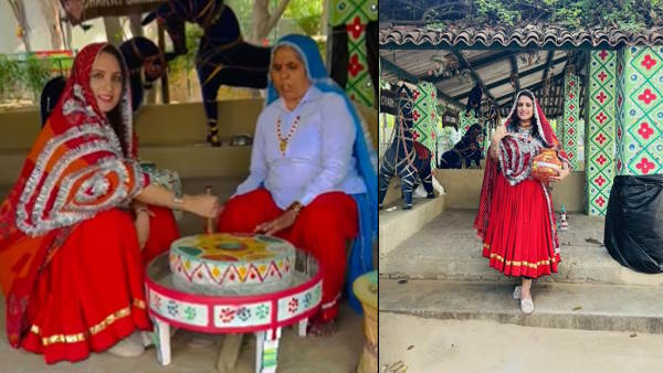  आईएएस सोनल गोयल की पोस्टिंग