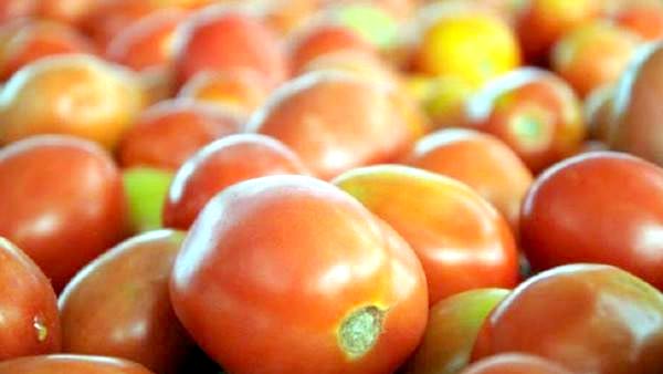 How can I clean my skin after Holi with Tommato