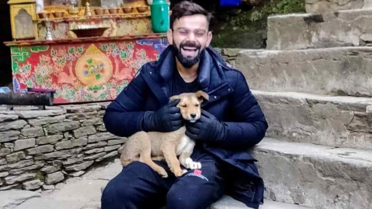 Virat Kohli Virat Kohli