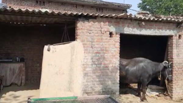 rampur Waseem got new imported censored hands from America with help of district administration rampur Waseem got new imported censored hands from America with help of district administration