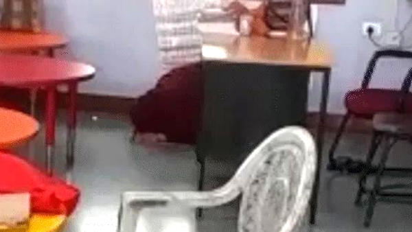 शासन से कोई स्पष्ट निर्देश नहीं शासन से कोई स्पष्ट निर्देश नहीं