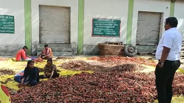 लगातार बढ़ रही गुलाल की डिमांड