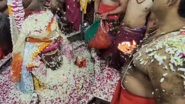 पर्यावरण संरक्षण संदेश देती है होली 