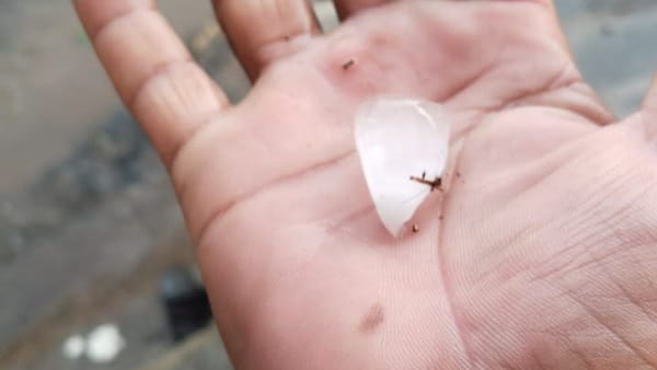 इन इलाकों में हुई बारिश