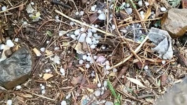 सीएम शिवराज ने लिखी ये बात