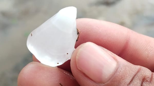 अचानक बदला मौसम का मिजाज