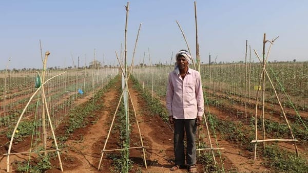 40 हजार रुपये के अनुदान पर ट्यूबवेल मिला