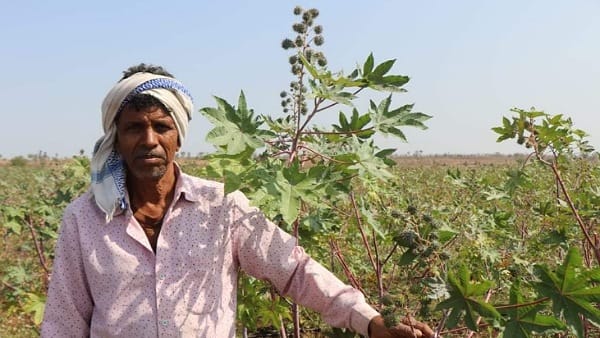 कुछ ऐसा है मामला