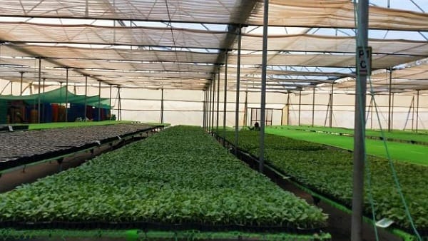 प्रदेश में ऋण स्वीकृति सबसे आगे खरगोन