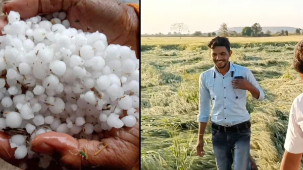 मध्यप्रदेश में फिर आंधी, बारिश और ओलावृष्टि ने मचाई तबाही मध्यप्रदेश में फिर आंधी, बारिश और ओलावृष्टि ने मचाई तबाही