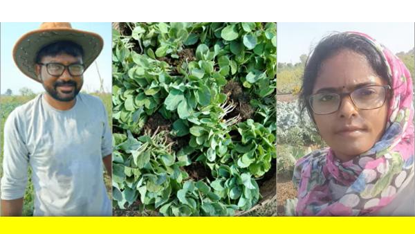 Natural Farming