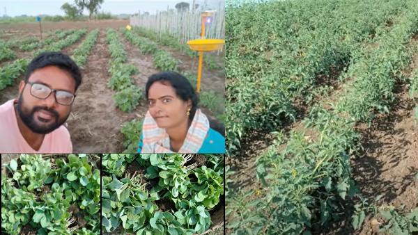 Natural Farming
