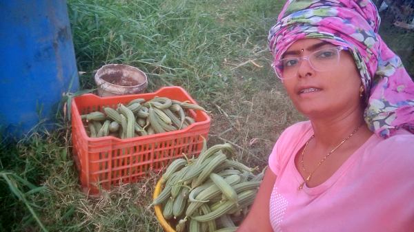 Natural Farming
