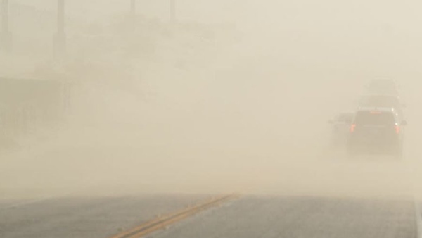 इन क्षेत्रों में सबसे अधिक प्रकोप